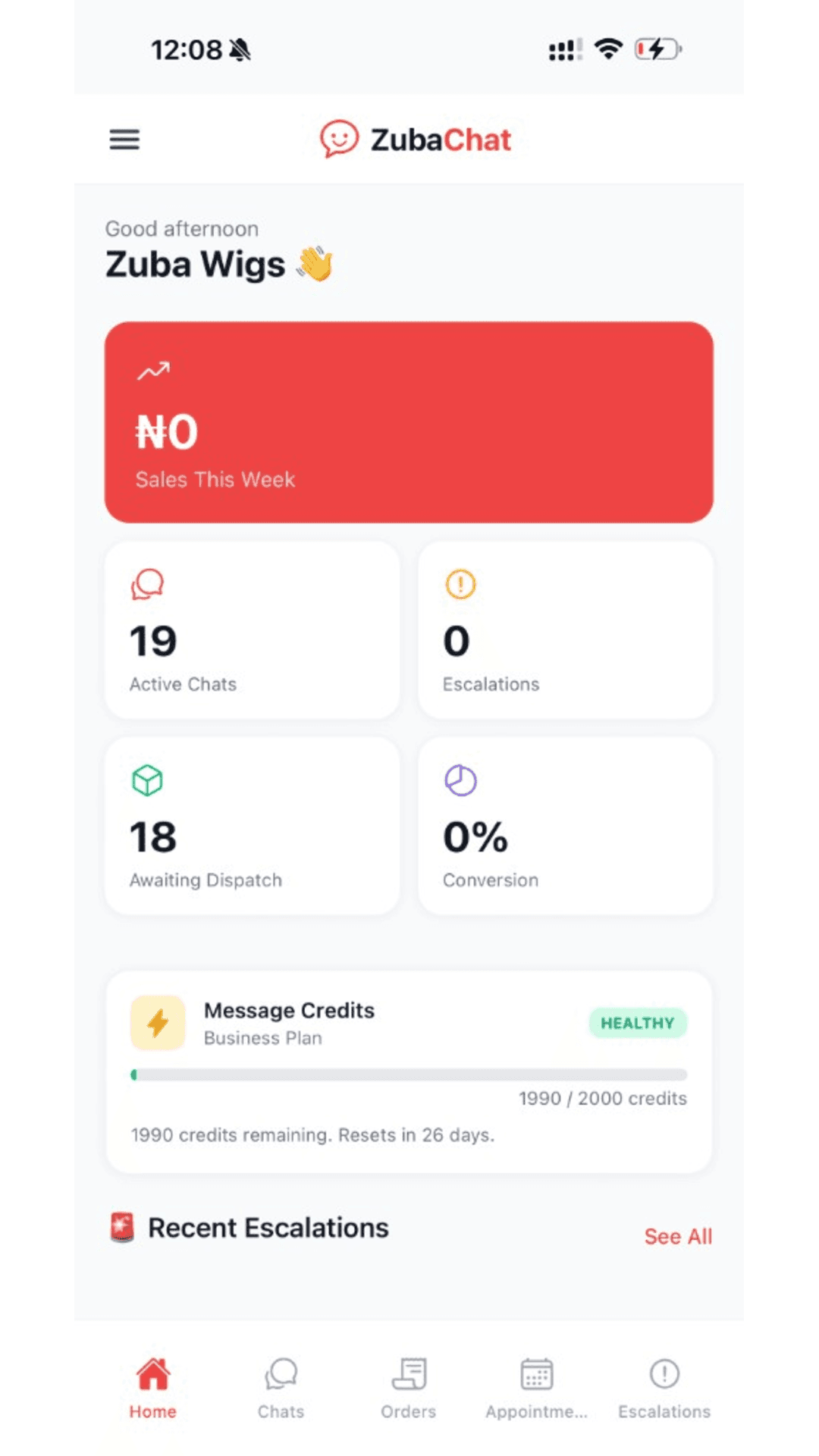 ZubaChat mobile home screen - sales overview, active conversations, conversation credits